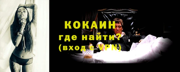 мяу мяу мука Аркадак