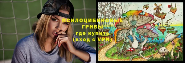 бошки Арсеньев