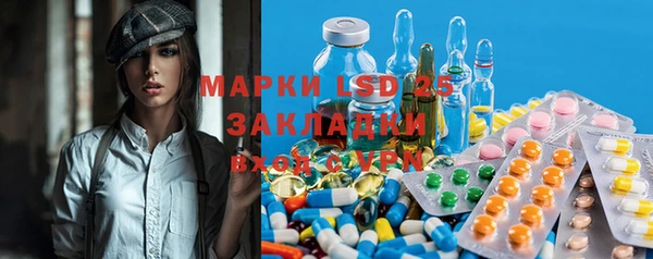 мяу мяу мука Аркадак