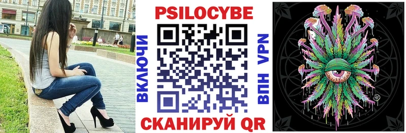 Псилоцибиновые грибы Psilocybe  Цивильск 