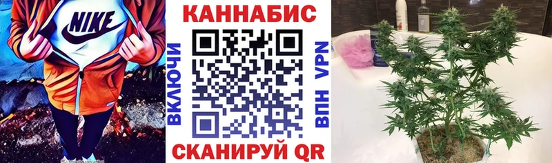 где продают наркотики  mega ТОР  Конопля планчик  Цивильск 